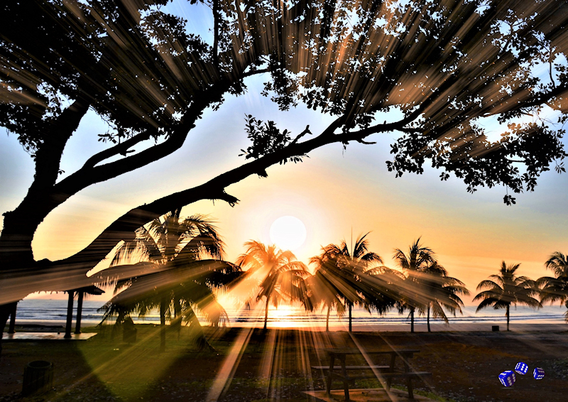 Hochwertige Sonderdrucke im A3