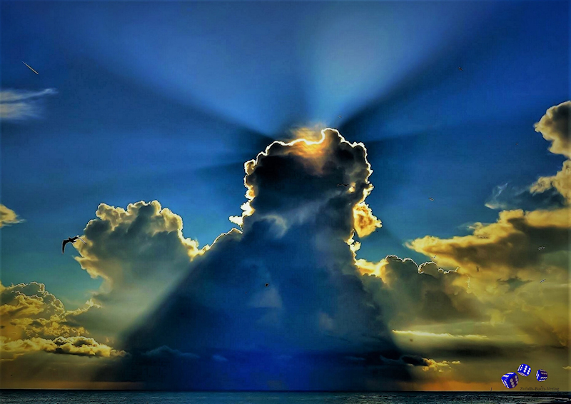 Ringbindung: Abendsonne