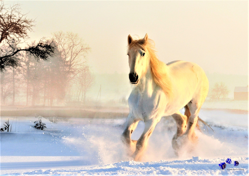 Ringbindung: Tiere im Winter