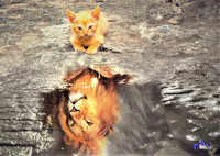 Ringbindung: Phantasie