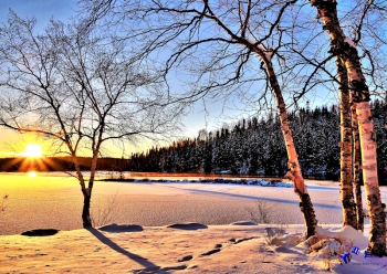 Wintermorgen - Sonderdruck im A3 Format