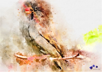 Hochwertiger Kunstdruck - Vogel auf Ast