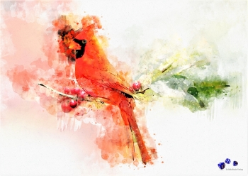 Hochwertiger Kunstdruck - Roter Vogel