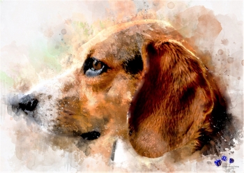 Hochwertiger Kunstdruck - Hund