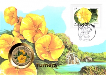 Flora der Karibik - Turnera ulmifolia - Kuba 1997