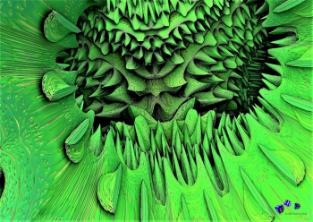 Fraktal 10 - Sonderdruck im A3 Format