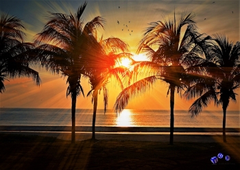 Abendsonne 1 - Sonderdruck im A3 Format