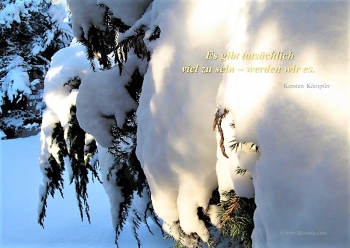 Einssein 11