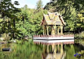 Tempel 9 - Sonderdruck im A3 Format