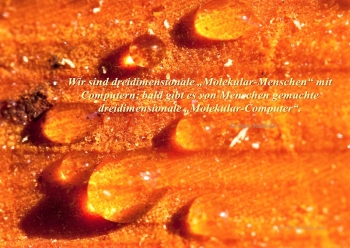 Kybernetik Cybernetics 7