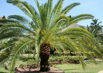 Zeitloskalender Philosophie - bitte anklicken!