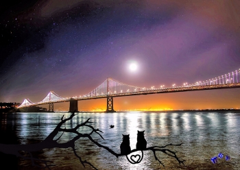 Brcke 8 - Sonderdruck im A3 Format