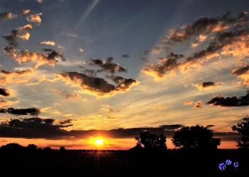 Strukturen 6 - Sonderdruck im A3 Format