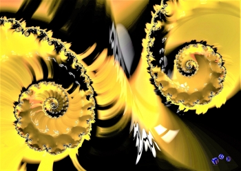 A3 Ringbindung von 12 Qualittsdrucken Fraktale bitte anklicken !