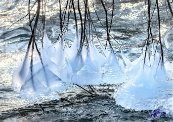 Winterzauber 2 - Sonderdruck im A3 Format