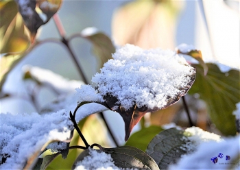 Winterzauber 5 - Sonderdruck im A3 Format