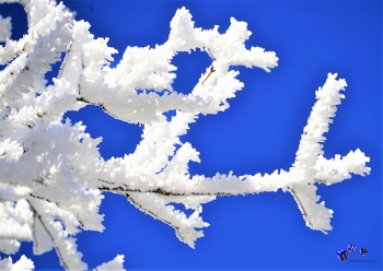 Winterzauber 1 - Sonderdruck im A3 Format