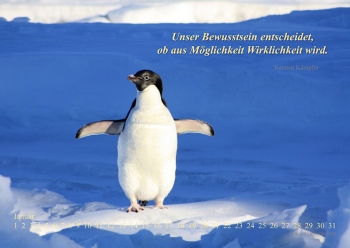 Zeitloskalender Wirklichkeit - bitte anklicken!