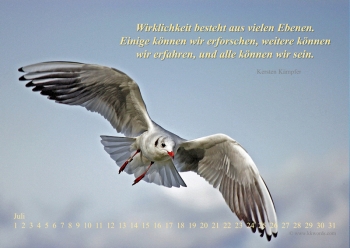 Zeitloskalender Wirklichkeit - bitte anklicken!