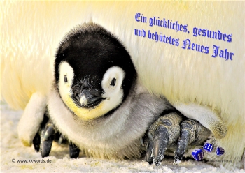 Zufalls-Buch-Verlag - Christmas 2019