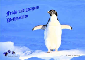 Zufalls-Buch-Verlag - Christmas 2019