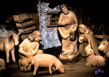 Weihnachten Krippe 10 - Sonderdruck im A3 Format