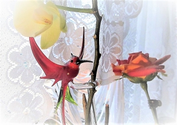 Glas Design: Kolibri - Glass design: Hummingbird