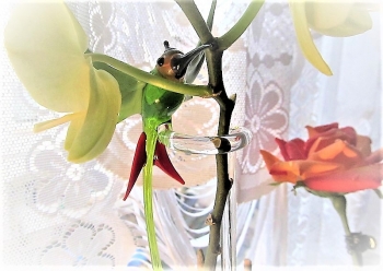 Glas Design: Kolibri - Glass design: Hummingbird