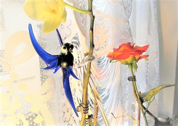 Glas Design: Papagei - Glass design: Parrotbird