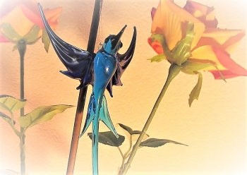 Glas Design: Kolibri - Glass design: Hummingbird
