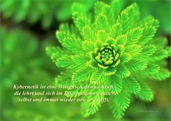 Kybernetik Cybernetics 10