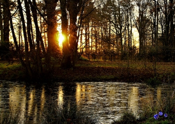 Abendsonne 9 - Sonderdruck im A3 Format