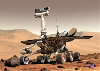 Universum 11 - Sonderdruck im A3 Format