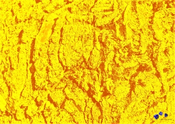 Strukturen 4 - Sonderdruck im A3 Format