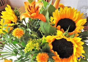 Sonnenblume 2 - Sonderdruck im A3 Format