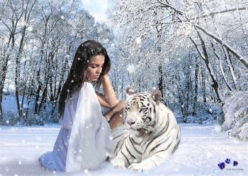 Tiere im Winter 3 - Sonderdruck im A3 Format