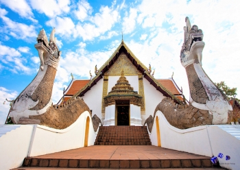 Tempel 5 - Sonderdruck im A3 Format