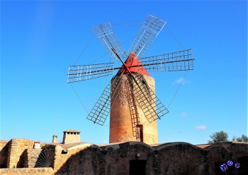 Windmhle 5 - Sonderdruck im A3 Format