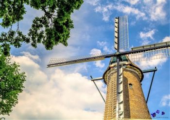 Windmhle 6 - Sonderdruck im A3 Format