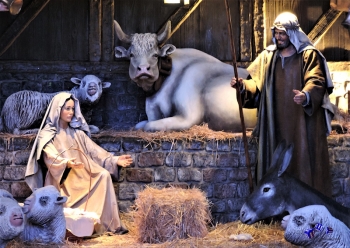 Weihnachten Krippe 5 - Sonderdruck im A3 Format